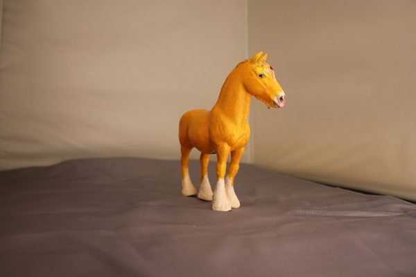 Palomino Shire - Image 2