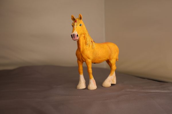 Palomino Shire - Image 3