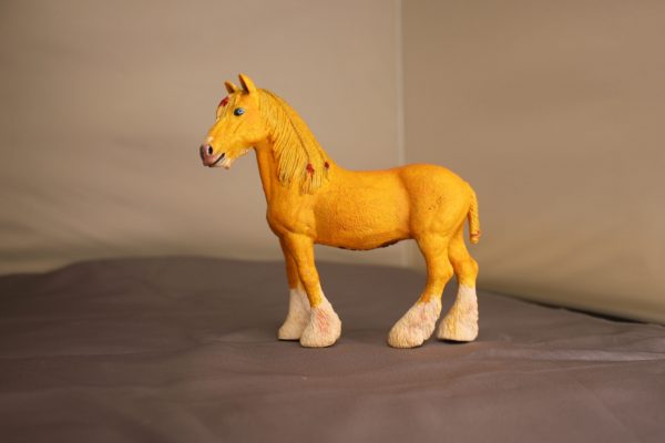 Palomino Shire - Image 4