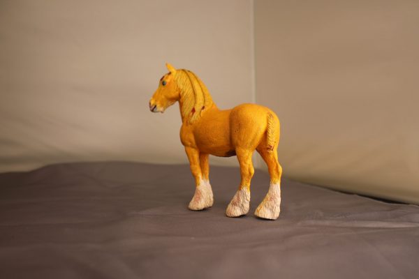 Palomino Shire - Image 5