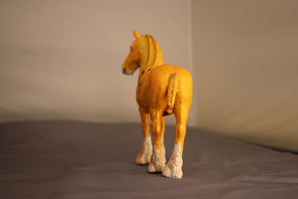 Palomino Shire - Image 6