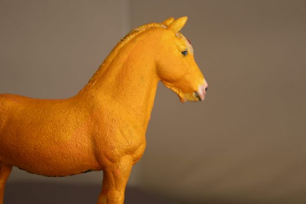 Palomino Shire - Image 7