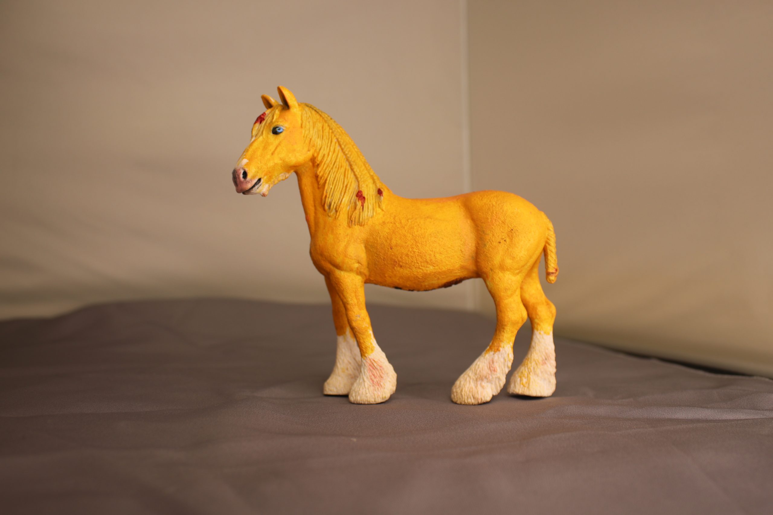 Palomino Shire