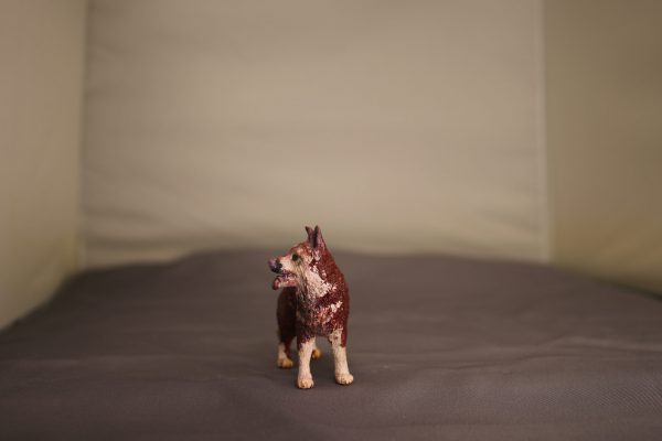 Red Husky - Image 4