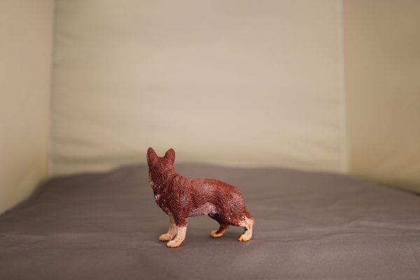 Red Husky - Image 2
