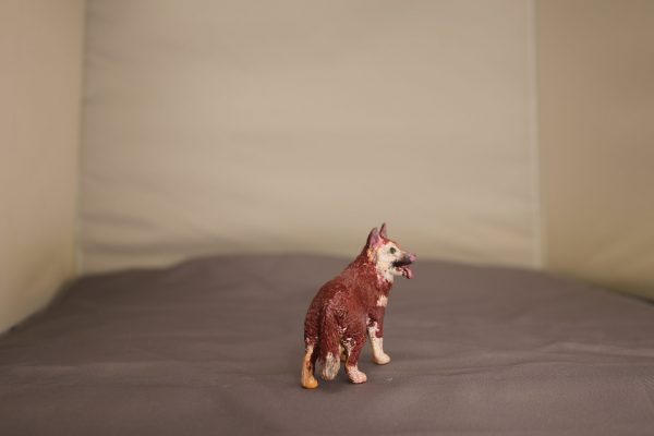 Red Husky - Image 3