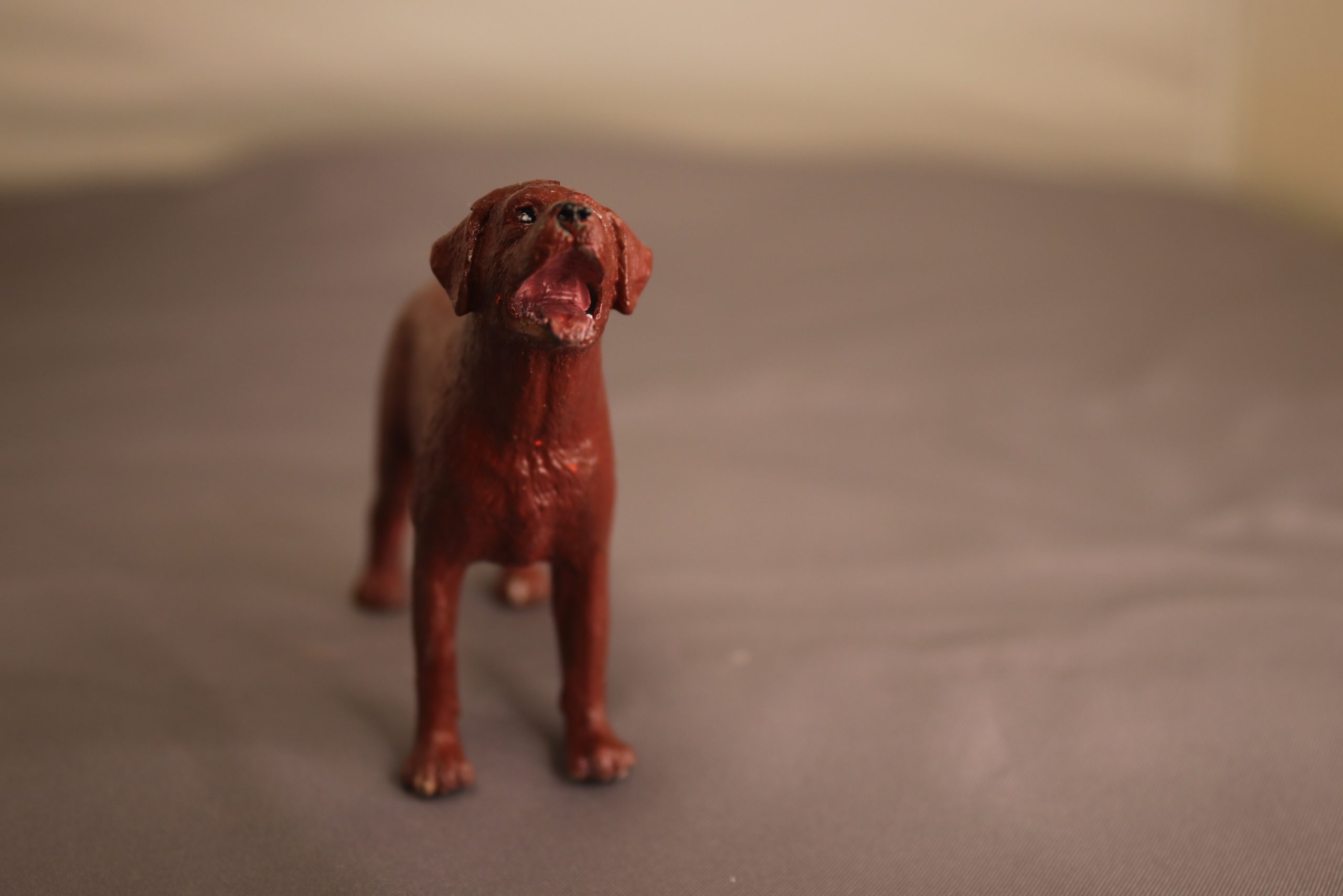 Red Labrador