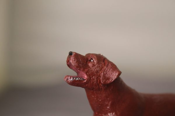 Red Labrador - Image 2